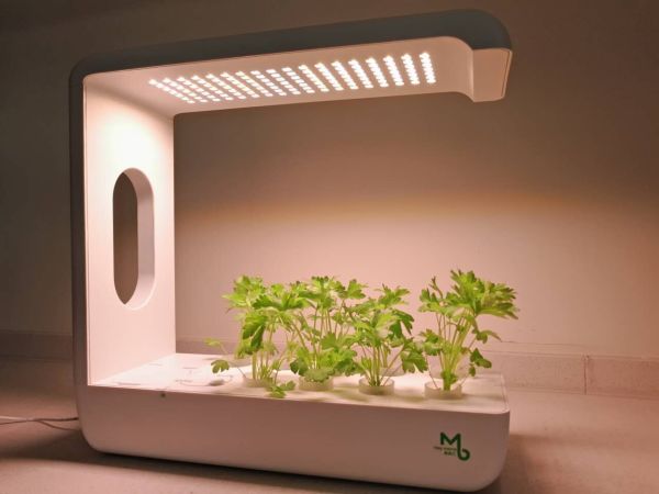 抢先首发众测麻麻汇mini巴比立方智能果蔬种植机