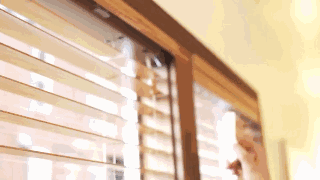 320_180gif 动态图 动图