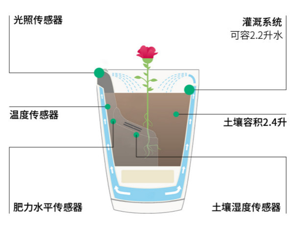 外出时的好助手:parrot 派诺特 推出 parrot pot 自动浇水智能花盆