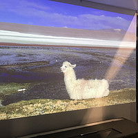 双色激光、5000ANSI流明：XGIMI 极米 推出 双色4K 激光无屏电视