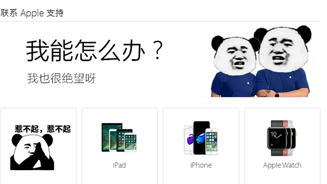 为什么我的苹果买不了东西