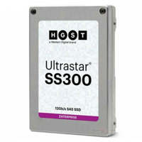 耐用、安全防护：WD 西部数据 推出 Ultrastar SS300 SAS 固态硬盘