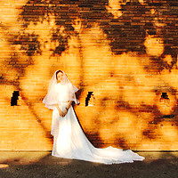 设计汪的婚纱照 — 清迈旅拍记录
