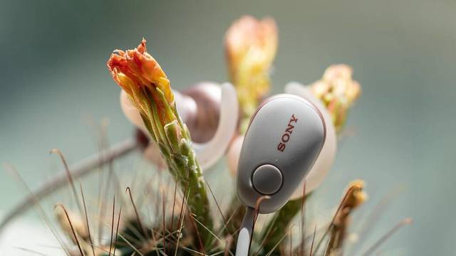 Sony 索尼 WI-SP600N 耳机 - 降噪的颈挂式运动