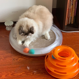 猫用品 篇三：养猫的最强全套装备：饮水机 猫碗 猫砂 猫玩具 猫抓板 猫窝 推荐分享