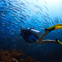 旅游指北针 篇四十：17件潜水好物推荐，探索水下的精彩！来自潜水爱好小编的“开箱晒物”