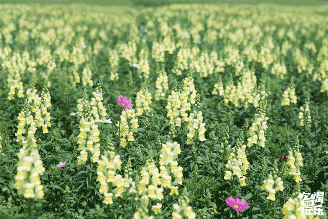 639_426gif 动态图 动图