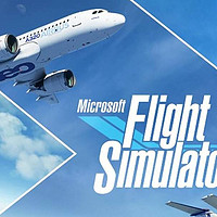飞行模拟器：标准，高级或DLC版本，这有什么变化？  看看完你就明白了