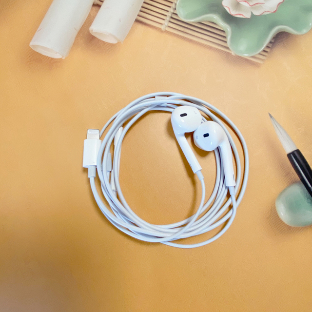 apple 苹果 earpods 耳塞式有线耳机