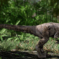 《侏罗纪世界3》今日上映，迅猛龙原型骨架拍卖1241万美元
