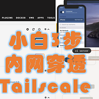 UNRAID折腾记录七：小白也会的免费内网穿透Tailscale只要3步