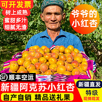 新疆小红杏特级新鲜水果吊干杏子特产胜小白黄杏当季送礼提哥正品