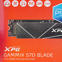 饼のPC硬件 篇六十四：7000MB/s的读取速度，优秀的温度表现，XPG S70 Blade 1TB性能实测