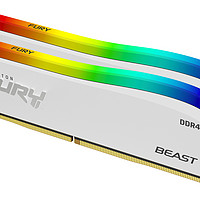 金士頓發布  FURY Beast DDR4 RGB 特別版內存