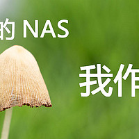 NAS 篇一：折腾日记：我的NAS我作主