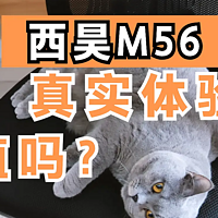 西昊M56电脑椅 人与猫的使用体验测评分享
