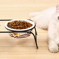 你在给猫咪喂食的时候，有考虑过猫咪的吃饭频率吗？