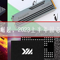 存储好物推荐 篇三：国产SSD很给力，2023上半年固态硬盘推荐
