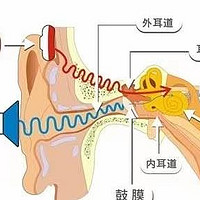 长期用耳塞听歌会导致听力下降吗？