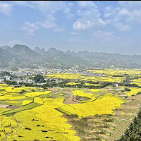 旅游美食 篇一：旅游记录，看那金灿灿的油菜花🚗🚗