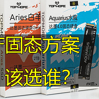 【茶茶】国产固态方案该选谁？达墨Gen4系列SSD测试报告