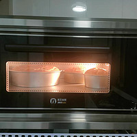 艾瑞丝大型烤箱：实用至上，烹饪新体验