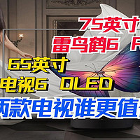 价格差不多，75英寸雷鸟鹤6 Pro和65英寸小米电视6 OLED选哪个?