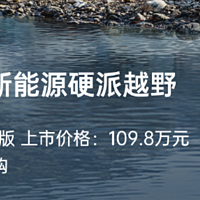 仰望U8豪华版正式上市，售价109.8万元