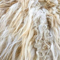 缝纫线 篇二百九十：植物纤维与动物毛发制作成缝纫线的区别