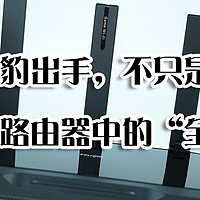 黑豹出手，不只是快——锐捷黑豹路由器中的“全能冠军”