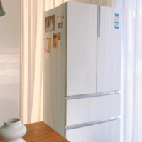 宝藏冰箱推荐 篇一：海尔超值宝藏型号-510白色法式冰箱