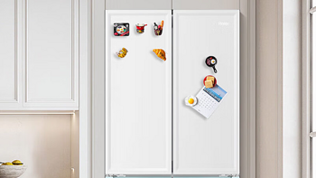 厨房大家电 篇五：2024零嵌入式冰箱怎么选？十年装修大户：高颜值认准这三款