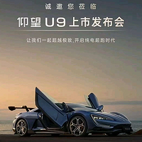 仰望U9將于2月25日上市，百萬級售價