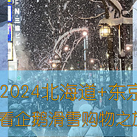看企鹅滑滑雪、吃美食买买买帮你探路！老纪的2024年3月的北海道札幌、东京之旅记录