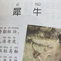 中国孩子的百科全书之犀牛