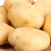 家美舒达 山东滕州小土豆，颗颗饱满 淡黄鲜亮