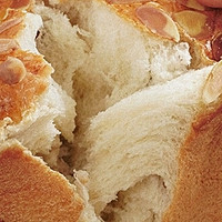 家里有台面包机真的可以带来好多快乐，2024年值得入手的面包机大推荐