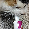 這款貓胺營養膏很不錯！