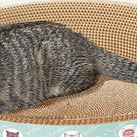 打造猫咪的温馨小窝：清洁与舒适并重！