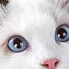 凱銳思幼貓貓糧奶糕魚肉味全價幼貓糧：天然營養，關愛幼貓成長