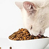如何挑選一款好的貓糧？
