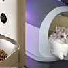 生活娛樂 篇二十五：養貓必備產品攻略：打造貓咪舒適生活家園
