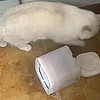 筆點酷玩 篇一千二百四十五：鏟屎官科普：有哪些好用的智能寵物飲水機？