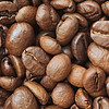 咖啡豆推薦，咖世家中烘咖啡豆