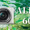 索尼A6400 vs A6000：新手攝影愛好者的明智選擇