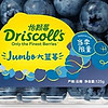 怡顆莓Driscoll's云南藍莓特級Jumbo超大果：享受新鮮與營養的完美結合