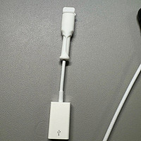 Apple/蘋果 USB-C/雷霆3 至 USB 轉換器