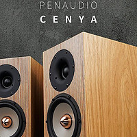 测试报告 | 完美融入不同听音环境的芬兰Penaudio Cenya扬声器