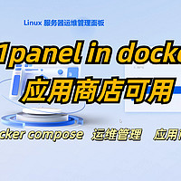 1panel in docker尝试着解决了一些问题，基本完美使用了