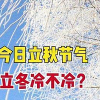 立秋，“立冬冷暖看立秋”，两者有何联系？今年立冬会冷吗？